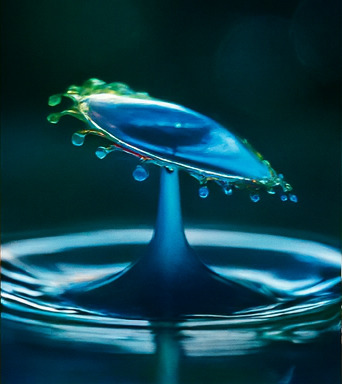 새로운 모험 세계